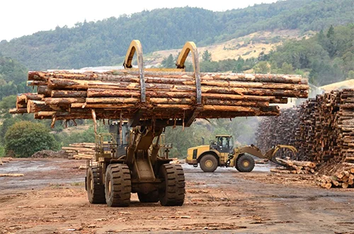 Logística Forestal